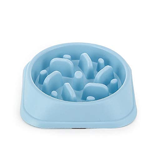 Txyk Gamelle d'alimentation Lente pour Chiens, Alimentation Ralentie et Interactive pour Les Animaux Bleu Durable de Cuvette d'eau de Boisson d'animal familier antidérapant carré Bleu Cover