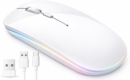 NA-E-VE Raton ​Inalambrico Recargable, Ratón Retroiluminado de 7 Colores con Mini Receptor USB de 2,4 GHz, Raton Gaming, Compatible con TV, Laptop, PC, Ordenador, Chromebook, Notebook, blanco.