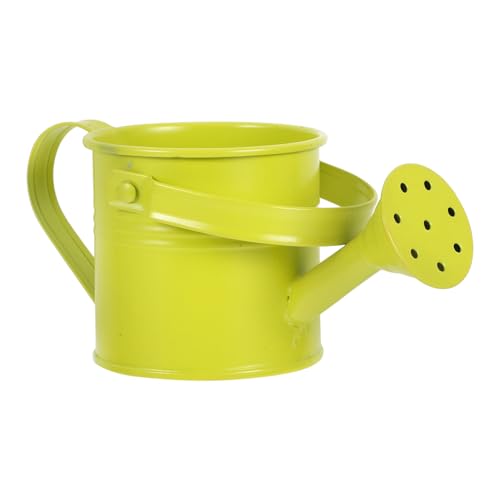 TOYANDONA Regadera para Plantas De Interior Regadera De Pico Largo Regadera para Bonsáis Regadera De Metal Regadera para Exterior Regadera De Hierro Galvanizado Verde Claro