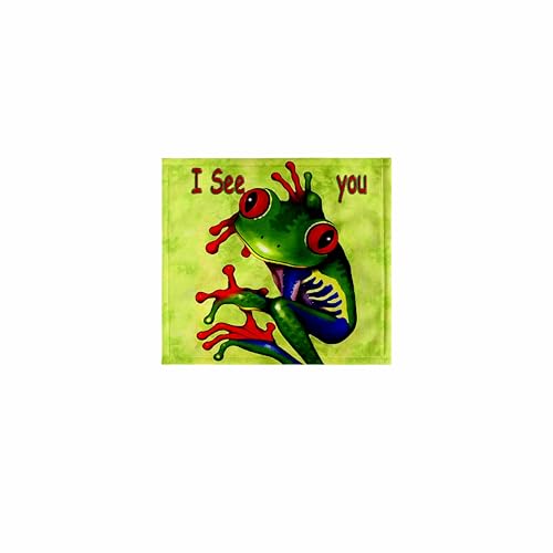 3dRose 11x12 Wash Cloth for Face and Body - Frog I See You Kids Stuff