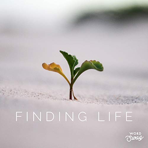 『Finding Life Teaching Podcast』のカバーアート
