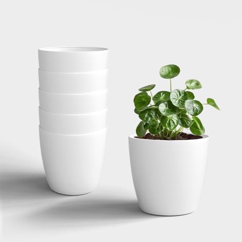 Image of YUCCABE ITALIA SHERA Stella 5 Inch Plastic Plant Pot for Home Decor Indoor Plant Pots for Living Room Plastic Flower Pot for Garden (White, 5 INCH - 6 Pcs)
