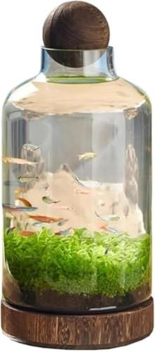 BLINGOODuaKXb{gEhXP[vpbؐgCtEGRfށbk͔|E}CNhXP[vɍœK ƒpCeA (A,36*17cm)