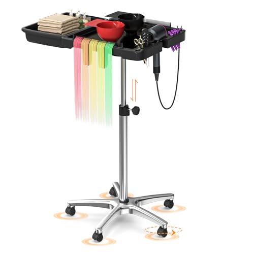 ABTSalon Rolling Salon Tray on Wheels with All-Metal Frame Hairstylist Tray with Drawers Salon Hair Stylist Tray Trolley Cart with 2 Magnetic Hair Color Bowls, Silver Frame
