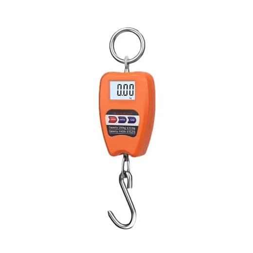 What does luggage carrier provisions mean Portable Luggage Scale Set for Travelers