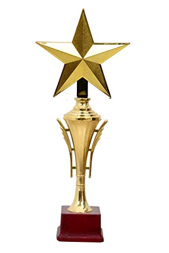 Be Win Winner Golden Fiber Star Trophy for Sports, Event & Functions (B08HLNDNQP) Amazon Price History, Amazon Price Tracker
