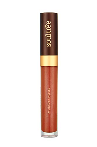 SoulTree Ayurvedic Lip Gloss - Rich Earth Colour(204), 5 g