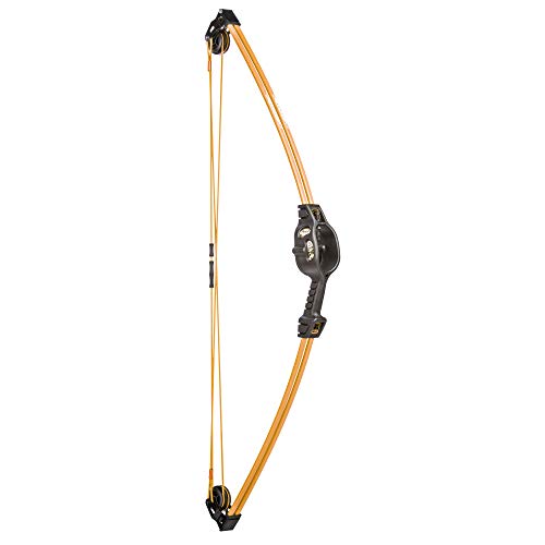 Bear Archery Spark Youth Bow Set Includes 2 Arrows, Armguard, Quiver, and Recommended