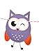 E&L 2 Set Owl Pal Party Themed Decorations Kit, Birthday Party Supplies, Birthday Party Banner, Set of 10 Pieces Different Colorful Owl Flags Different Pattern