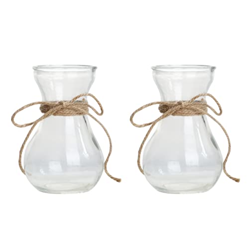 Happyyami 2pcs Clear Glass Hyacinth Flower Vase with Twine Rope Small Flower Hydroponic Plant Bottles for Home Office Tabletop Centerpiece