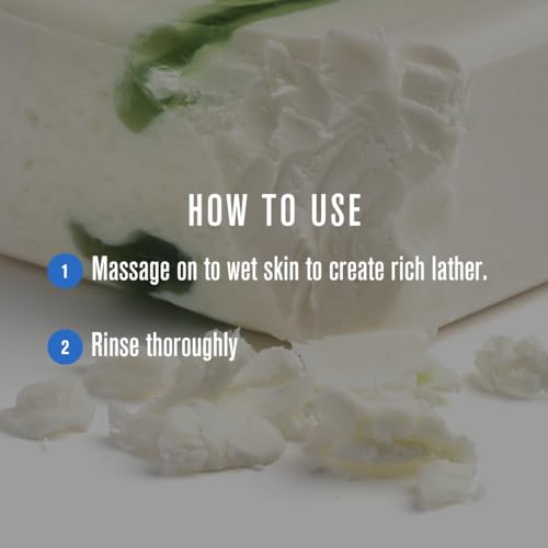 Baxter of California Vitamin Cleansing Bar for Men for All Skin Types - Italian Lime and Pomegranate Essence - 7 Oz