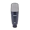 SUBZERO SZC-1 Large Diaphragm Condenser Microphone #3