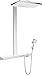 Produktbild Hansgrohe Regenmacher Select 460 2jet SP EcoSmart