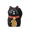 Black Cat