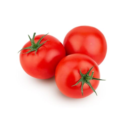 Fresh Tomato Green House 450-500g GCC
