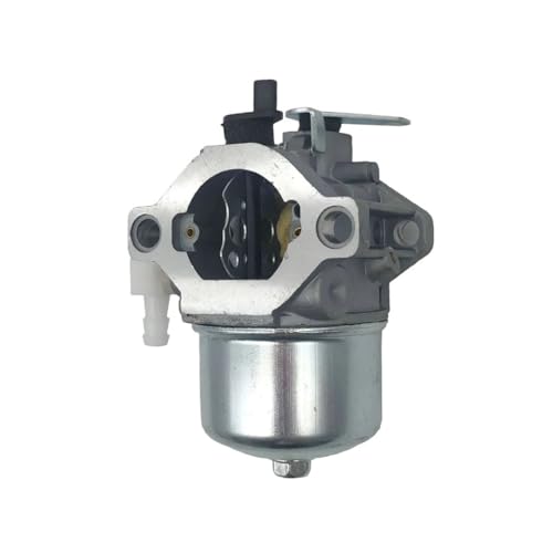 Carburateur St 19E412 pour tondre la pelouse avec moteur 10HP