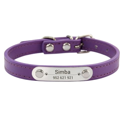 ID^Ot\bhJ[PUU[shiba Inu Beagle Poodle PugɓKp[\iCYꂽL̋,,s