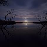 11002783 Records DK2