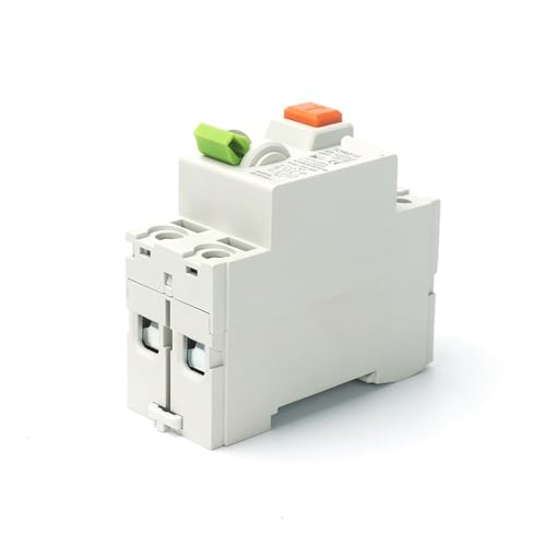 Disjoncteur différentiel Type S 63A 100mA 2 pôles pour protection électrique durable