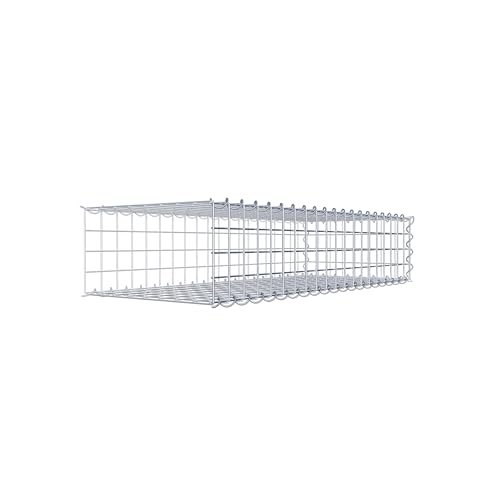 GABIONA Cesta de piedra de gavión rectangular, malla de 5 x 5 cm, profundidad de 40 cm, cesta de cultivo tipo 2, cierre de espiral, galvanizado (100 x 20 x 40 cm)