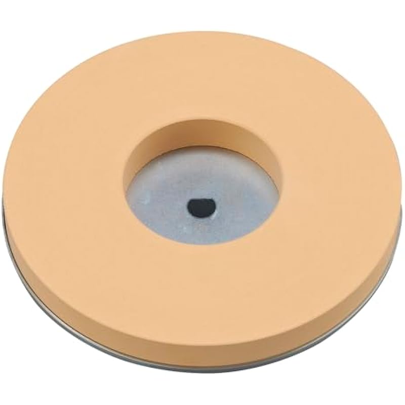 Shinko Seisakusho 홈 커터 숫돌 6000 180mm 마무리 #6,000