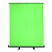 Homegear Streaming/Video Background Green Screen â€“ Pull-Up Backdrop in Case