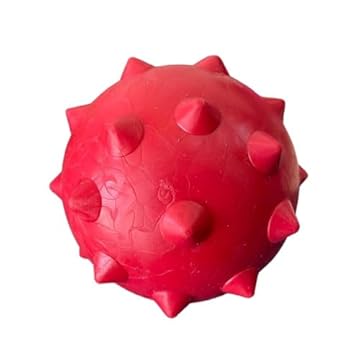 MY PET BRASIL Brinquedo Para Cachorros Interativo E Funcional Bolinha Cravinho Alivia O Estresse E Auxilia Os Dentes Brinquedo Para Cães Cores Sortidas Tamanho: 4 5Cm