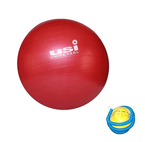 Image of USI UNIVERSAL Exercise Ball, 65cm Yoga Ball for Stability Work Out, Birthing Ball for Pregnancy, Anti-Burst Swiss Balance Fitness Ball for Gym Office Physical Therapy Pilates With Pump