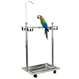 Olpchee Bird Feeder Stand Adjustable Height Rolling Bird Perch Play Stand with Universal Wheels Stainless Steel Parrot Playstand with Feeding Bowls