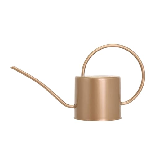 Indoor Watering Can for Houseplants 1.7L Gold