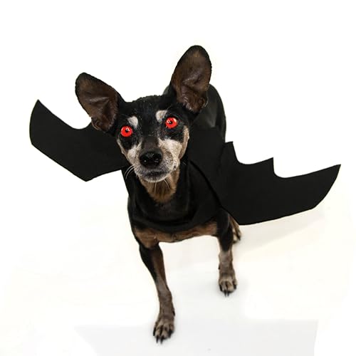 Niños, Toy Imagen adicional