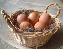 美野里たまご 加賀の朝日 トレイ詰め 50個（箱入り) 新鮮卵