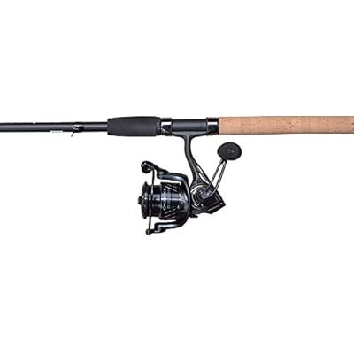 10ft rod and reel combo