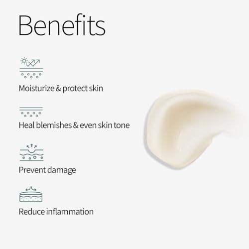 Image of Meola Day Cream for Women and Men 50g - Brightning Moisturising Face Cream with Swiss Lipobelle Glacier, Niacinamide, Aquaxyl & Daisy Extract - 50Gm | Hydrating & Moisturising Lightweight Face Cream for Dullness, Brightens, Dry & Damaged Skin