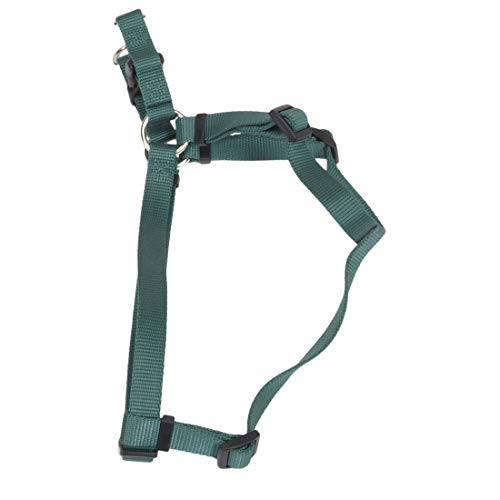 Comfort Wrap Adjustable Harness Hunter Green16 To 26 Inches Girth With A Width Of 5/8 In. #TOP3