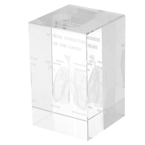 Modèle d'anatomie humaine en cristal cube avec poumon et cœur gravés 3D