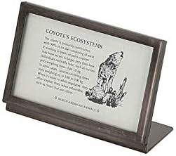 Dulton Metal FRAME K955-1263-7 Photo Frame, Metal Frame, Height 2.8 x Width 4.1 x Depth 1.6 inches (70 x 105 x 40 mm)