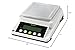 U.S. Solid Precision Balance, 3100g x 0.1g Digital Analytical Lab Scale with RS232 Interface for Data Export, Piece Counting, g, gn, oz, ct, for Science & Industry