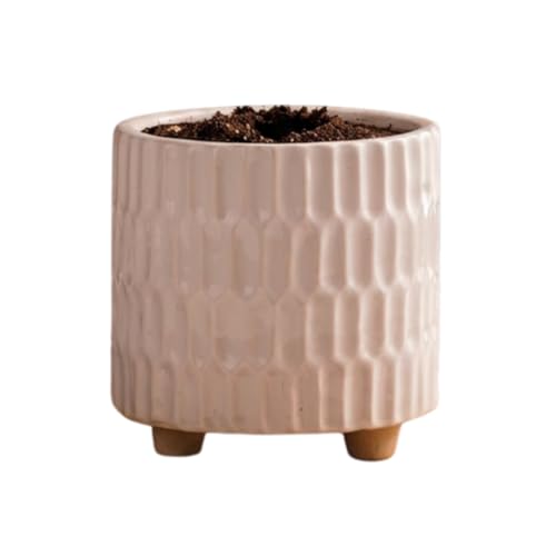 Image of Ceramic Pot for Indoor Plants - White (5 inches) | Has built-in stand so that water never clogs