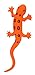 Wild Republic- Salamandra de Goma, Color Naranja, 20 cm (20762)