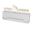 Teeth Whitening Shade Guide 16 Colors Tooth Color Chart