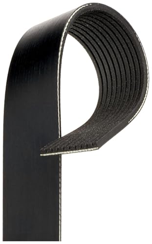 Cinturón serpentino profesional Acdelco 10K467A en paquete individual