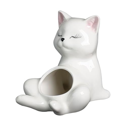 Genérico Maceta para Suculentas Plantas