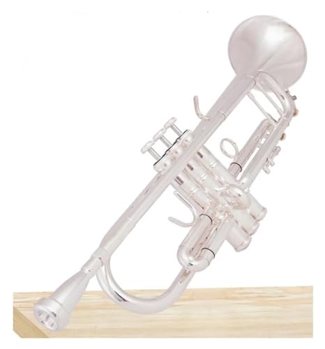 ygybg Bb gybg^JVo[bL Bb gybg}EXs[XO[uP[XsXgގXeX|(Color:85)