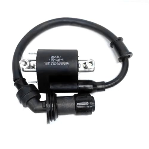for Benelli for BJ125-3E for BJ125-3 125cc for TNT 125 for 135 Motorcycle Ignition Coil Voltage Left&Right Combination Spark Cap Ignition Switch Motorbike Ignitions(Right)