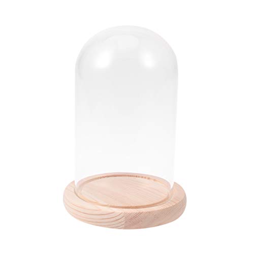 Glass Display Dome Cloche Tabletop Display Case Clear Glass Jar with Wooden Base DIY Craft Making Supplies 10x16cm