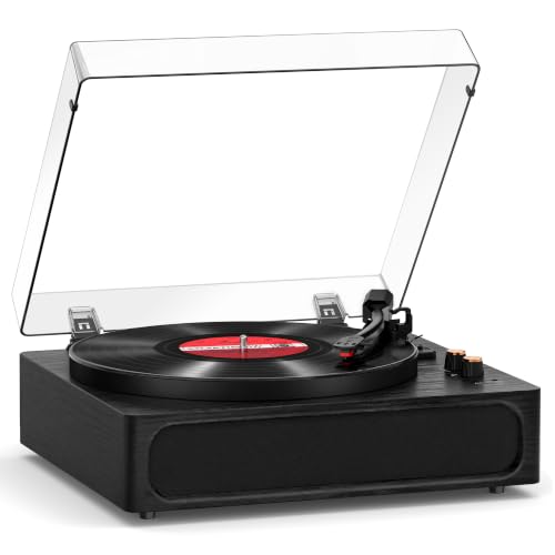 TANLANIN 12-Inch Turntable with Counterweight