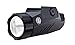Sig Sauer Foxtrot1 100 200 300 Lumen Rail Mount Graphite Tactical White Light
