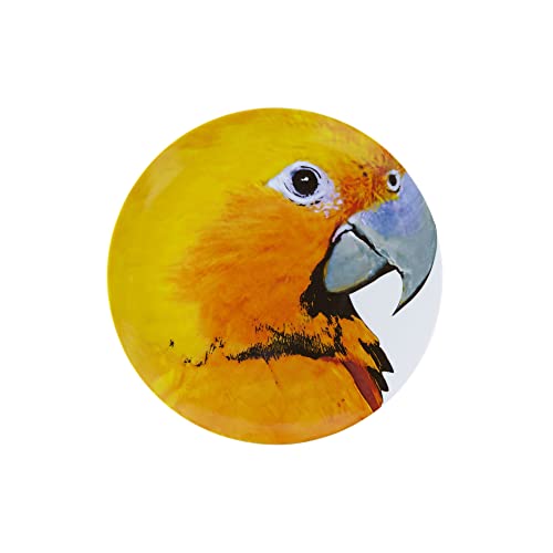 Olhar O Brasil 12.88" Guaruba Plato de Carga miniatura 1