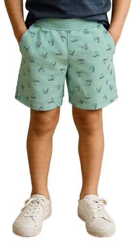 Image of Clothe Funn Boys Regular Shorts